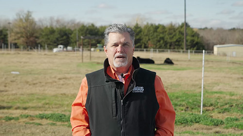 Are You Losing Money Without Knowing It? Beef Cattle Economics Explained | Cow-Calf Corner