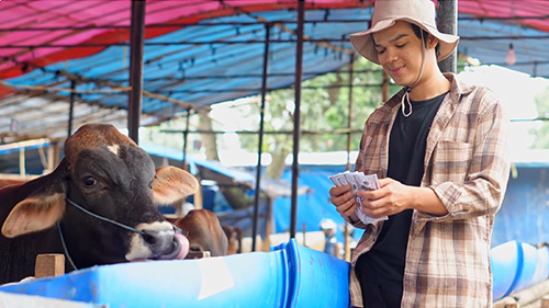 A farmer and his cow